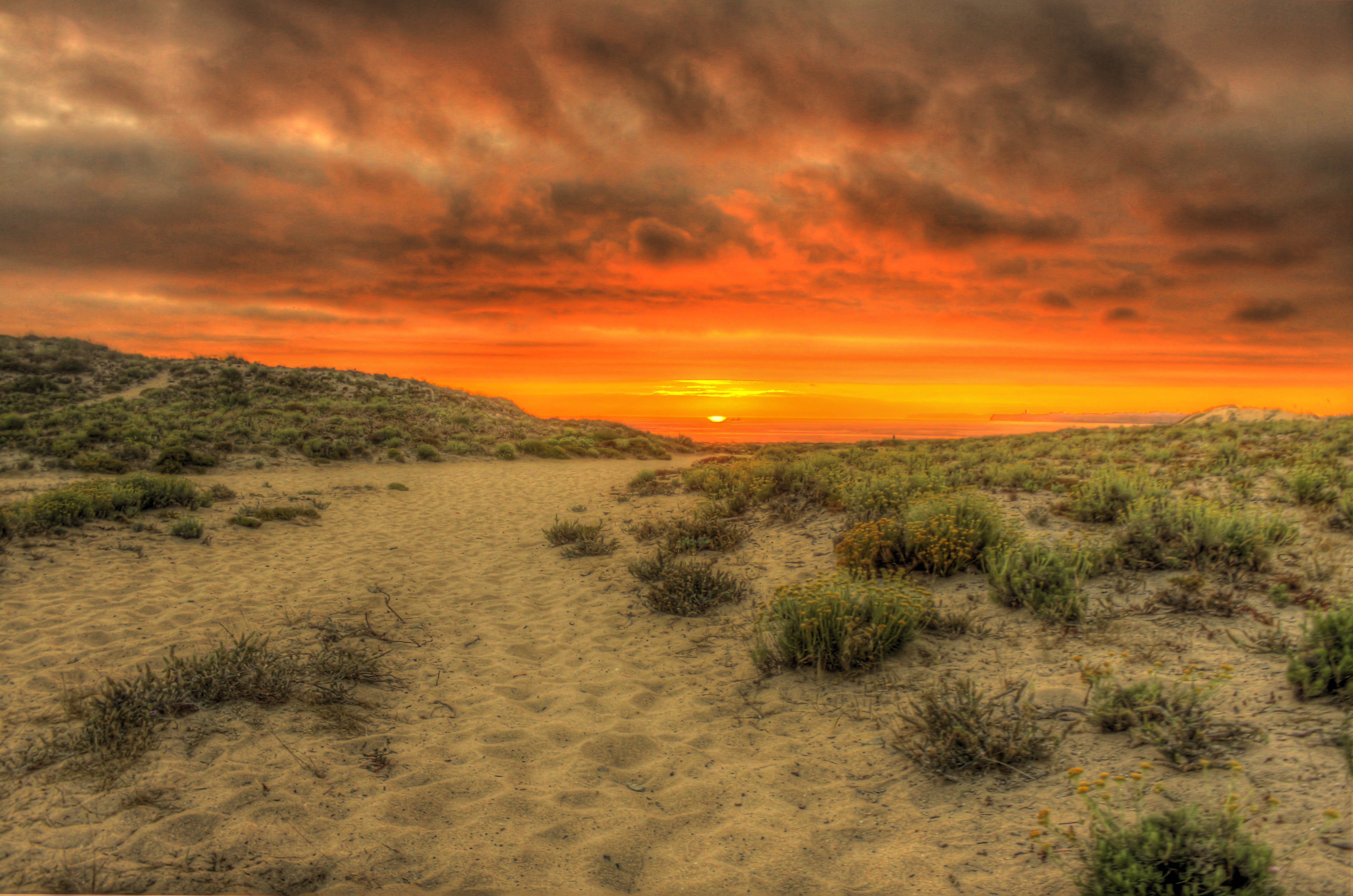 Dawn in the desert